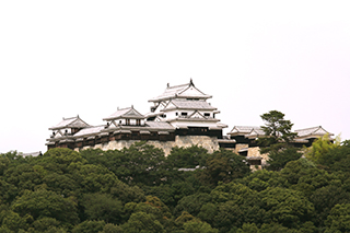 Matsuyama Castle castle tower