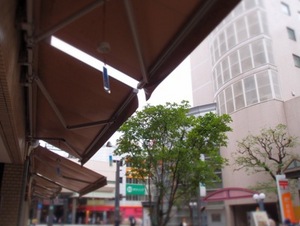 20110617-3.JPG