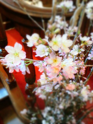 20120320-1.jpeg