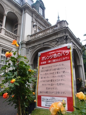 20120515-2.JPG