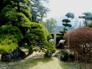 20130309.JPG