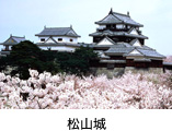 【拡大表示】松山城