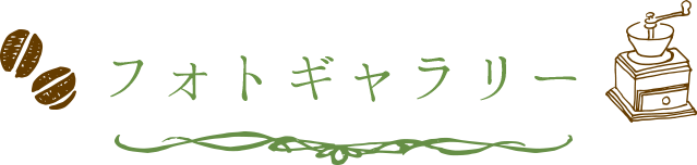 フォトギャラリー