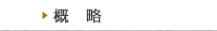 概略