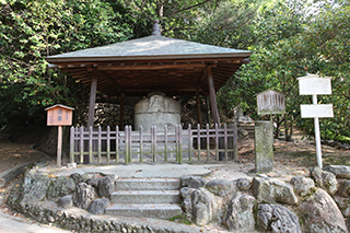 Dogo Park